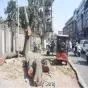 Rani Jhansi Road Residents Protest Illegal Tree Removal; Authorities Under Scrutiny