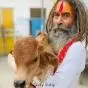ਮਥੁਰਾ ਹਾਈਵੇ ’ਤੇ ਸਾਧੂ ਦੀ ਮੌਤ ਮਗਰੋਂ ਹੰਗਾਮਾ, ਪੁਲਿਸ ’ਤੇ ਪੱਥਰਾਅ, ਕਈ ਜ਼ਖਮੀ