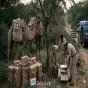 Police Bust Unique Smuggling Racket Using Camels to Evade Checkpoints