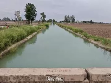 Punjab Canals Flow Beyond Capacity as Paddy Transplantation Peaks