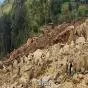 भारी बारिश का कहर: जम्मू-कश्मीर और उत्तराखंड में भूस्खलन, केदारनाथ यात्रा मार्ग बंद