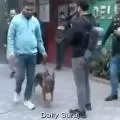हरियाणा में कोर्ट, मिनी सचिवालय और कुछ स्कूलों को बम धमकी, जांच में जुटीं एजेंसियां