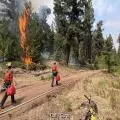 Canada Wildfires Force More Than 20,000 People From Their Homes in British Columbia