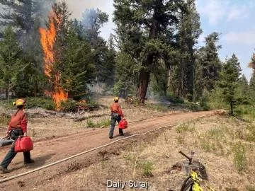 Canada Wildfires Force More Than 20,000 People From Their Homes in British Columbia