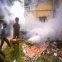 तमिलनाडु में डेंगू और स्वाइन फ्लू के मामलों में तेज़ी