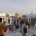 Grand Nagar Kirtan Organized in Amritsar to Mark First Parkash Purab of Sri Guru Granth Sahib