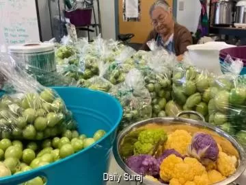 Onion Lake Cree Nation Harvests Over 1,000 Pounds of Produce in First Year of Community Garden