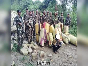 SSB and Arunachal Pradesh Police Seize Over 325 kg Cannabis; One Arrested