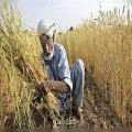 किसानों के लिए नई योजना, अब मिलेगा 6 लाख रुपये तक का कर्ज