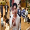 Shehzad Poonawalla, Siwet Tomar Clash on ‘Rise & Fall’; Political Leaders React