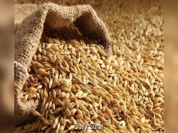 ਫ਼ਸਲੀ ਵਿਭਿੰਨਤਾ ਨੂੰ ਉਤਸ਼ਾਹਿਤ ਕਰਨ ਲਈ ਸਰਕਾਰ ਦਾ ਫ਼ੈਸਲਾ; ਸਰ੍ਹੋਂ, ਮਸਰ ਅਤੇ ਛੋਲਿਆਂ ਦੇ ਸਮਰਥਨ ਮੁੱਲ ਵਿੱਚ ਵੀ ਹੋਇਆ ਇਜ਼ਾਫ਼ਾ