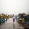 चक्रवाती तूफान 'अरनब' का आंध्र प्रदेश में तांडव: 150 किमी/घंटे की रफ्तार से चलीं हवाएं, तटीय इलाकों में अलर्ट