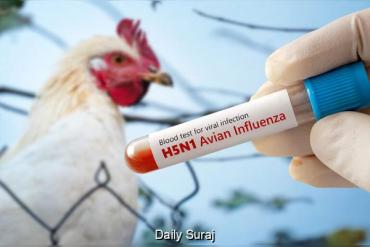 Australia Reports Seven New Suspected H5N1 Bird Flu Cases in South Australia
