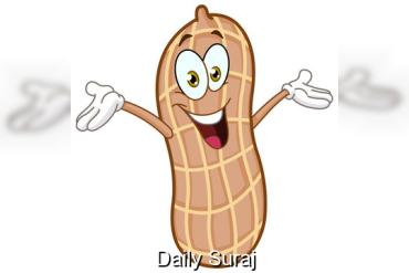 ਮੂੰਗਫਲੀ