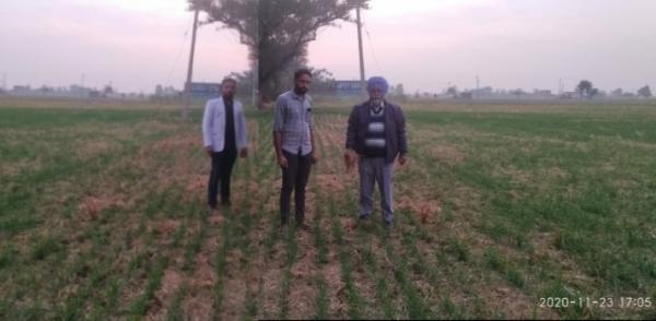 ਪਰਾਲੀ ਨੂੰ ਖੇਤ ਵਿੱਚ ਰਲਾਉਣ ਨਾਲ ਖੇਤੀ ਖਰਚੇ ਘਟਦੇ ਹਨ : ਡਾ. ਵਾਲੀਆ