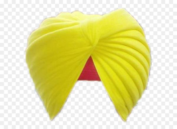 ਪੱਗ ਦੀ ਆਪਣੀ ਵੱਖਰੀ ਸ਼ਾਨ
