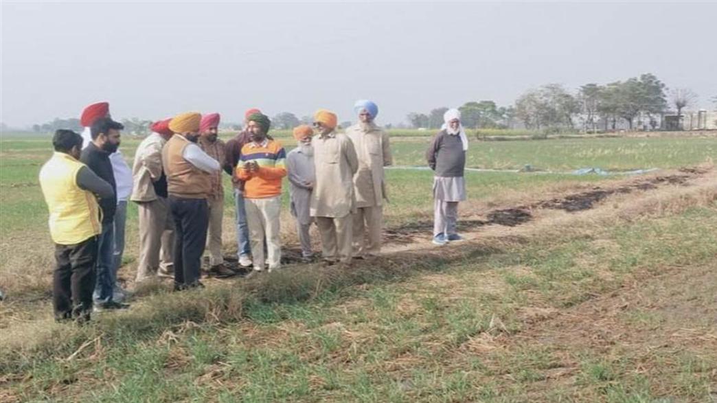 ਪਰਾਲੀ ਨੂੰ ਅੱਗ ਲਾਏ ਬਗੈਰ ਵੱਖ-ਵੱਖ ਤਕਨੀਕਾਂ ਨਾਲ ਬੀਜੀ ਕਣਕ ਦੇ ਖੇਤਾਂ ਦਾ ਦੌਰਾ