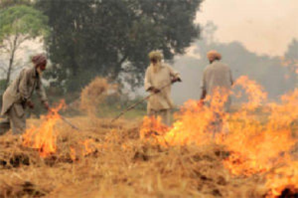 ਪਰਾਲੀ ਸਮੱਸਿਆ: ਕਿਸਾਨਾਂ ਦੇ ਹੱਕ ਵਿਚ ਨਿੱਤਰੇ ਮਾਹਿਰ