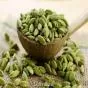 Small Cardamom Offers Big Health Benefits, Experts Highlight Its Natural Healing Properties
