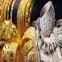 सोना-चांदी की कीमतों में फिर उछाल, 24 कैरेट सोना 1.60 लाख रुपये तक पहुंचा