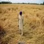 ਕਰਜ਼ੇ ਦੀ ਵਸੂਲੀ ਲਈ ਪੰਜਾਬ ਸਰਕਾਰ ਦੀ ਮੁਹਿੰਮ ਤੇਜ਼, 30 ਮਾਰਚ ਤੋਂ ਨਿਲਾਮੀ ਦੀ ਸੰਭਾਵਨਾ