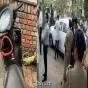 Chandigarh Police Launch Probe After Explosion Outside BJP Office