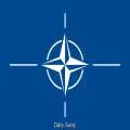 Canada, European Allies Encouraged to Take Greater Defense Role in NATO