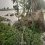 रजवाहे में दो जगह 25-25 फीट का कटाव, पूरी रात पानी रोकने में जुटे ग्रामीण