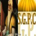 SGPC Pilgrimage to Pakistan: 290 Pilgrims Cleared for June 21 Departure