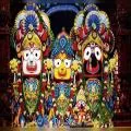 Puri Jagannath Temple Witnesses Devotional Scenes on Parsva Parivartana Bada Ekadashi
