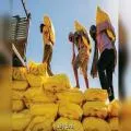ਡੀ.ਏ.ਪੀ. ਖਾਦ ਦੀ ਕਿੱਲਤ ਦੂਰ ਕਰਨ ਲਈ ਪੰਜਾਬ ਸਰਕਾਰ ਨੇ ਲਾਇਆ ਕੇਂਦਰ ਦਾ ਦਰਵਾਜ਼ਾ, 3 ਲੱਖ ਟਨ ਸਪਲਾਈ ਦੀ ਮੰਗ