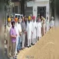ਕਿਸਾਨਾਂ ਦੀ ਫ਼ਸਲ ਦਾ ਇੱਕ-ਇੱਕ ਦਾਣਾ ਖਰੀਦਣ ਲਈ ਮਾਨ ਸਰਕਾਰ ਵਚਨਬੱਧ: ਡਿਪਟੀ ਸਪੀਕਰ ਰੌੜੀ