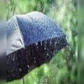 Heavy Rain Forecast for Punjab, Haryana and Rajasthan Amid Peak Paddy Season