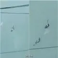Philippines Grounds SF-260 Training Aircraft After Mid-Air Collision Claims Four Lives
