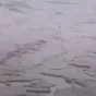 ਯਮੁਨਾ ਨਦੀ ਚ ਨਹੀਂ ਘੱਟ ਰਿਹਾ ਪ੍ਰਦੂਸ਼ਣ ਦਾ ਪੱਧਰ