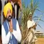 ਕਿਸਾਨਾਂ ਲਈ ਵੱਡੀ ਰਾਹਤ: ਗੰਨੇ ਦੇ ਰੇਟ ’ਚ 15 ਰੁਪਏ ਦੀ ਵਧੋਤਰੀ