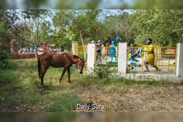 प्रशासनिक उपेक्षा का शिकार: श्री मुक्तसर साहिब का माता भाग कौर पार्क बदहाल, मूर्तियों की दुर्दशा पर लोगों में भारी रोष